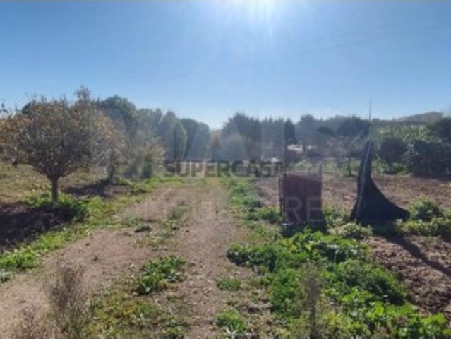 Terreno venda em Lourinhã, Lisboa