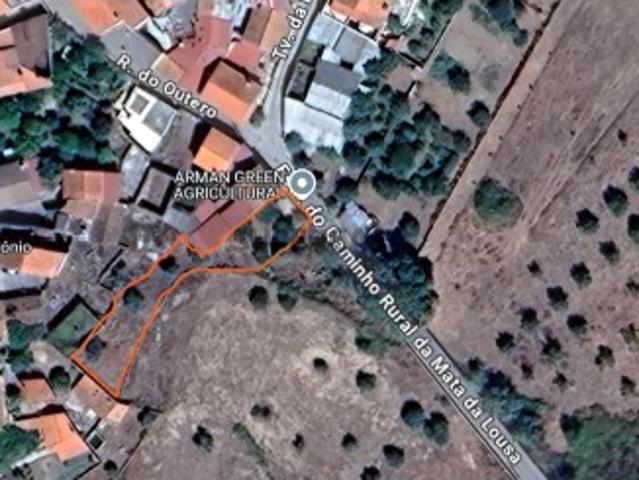Terreno venda em Castelo Branco
