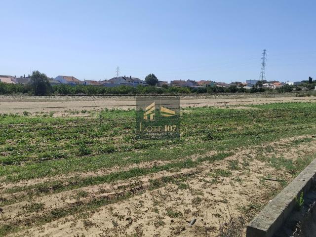 Terreno venda em Volta da Pedra, Palmela