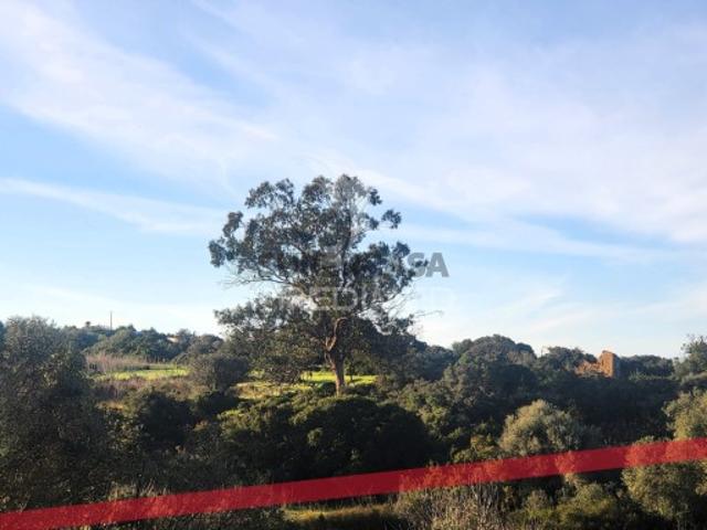 Terreno venda em Lagos, Faro
