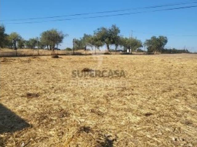 Terreno venda em Luz, Évora