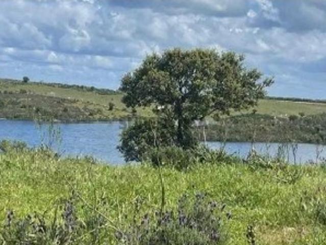 Terreno venda em Mourão, Luz