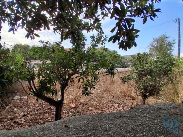 Terreno venda em Lagos, Faro