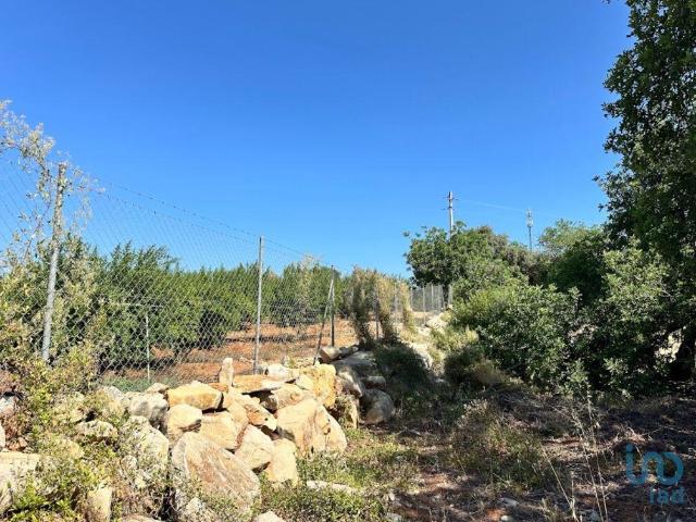 Terreno venda em Luz de Tavira, Tavira