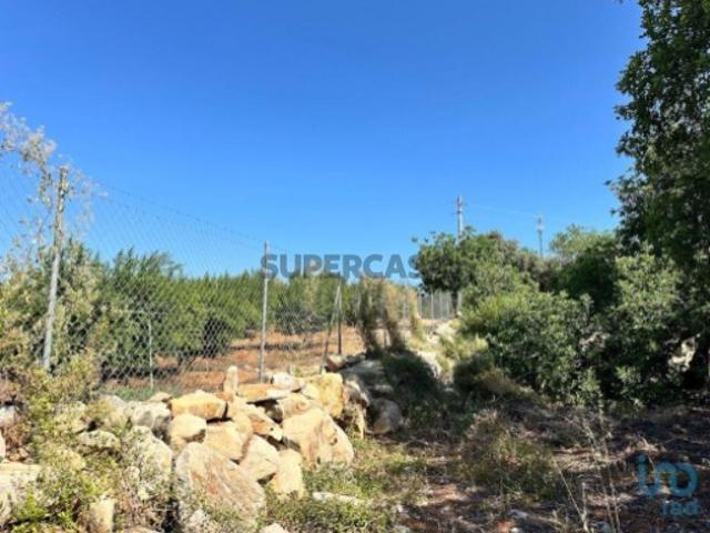 Terreno venda em Eira da Palma, Tavira