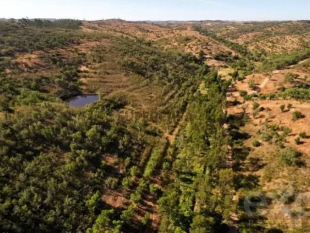 Terreno venda em Luzianes-Gare, Odemira