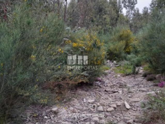 Terreno venda em Marecos, Porto