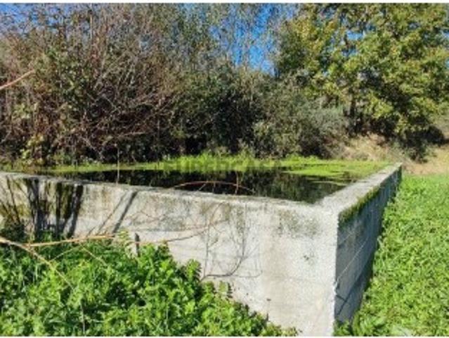 Terreno venda em Castro Daire, Viseu