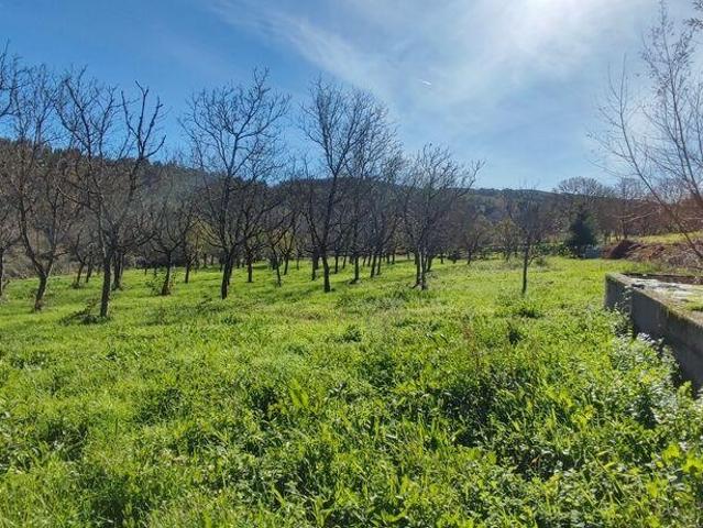 Terreno venda em Castro Daire, Viseu