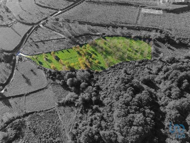 Terreno venda em Castro Daire, Viseu