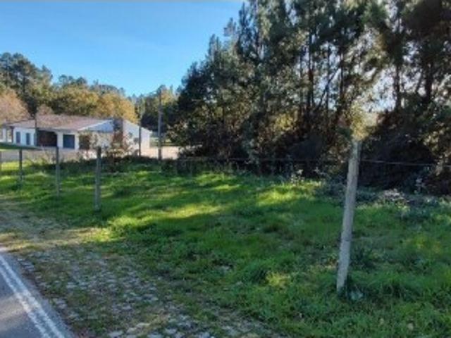 Terreno venda em Castro Daire, Viseu