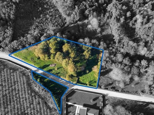 Terreno venda em Castro Daire, Viseu
