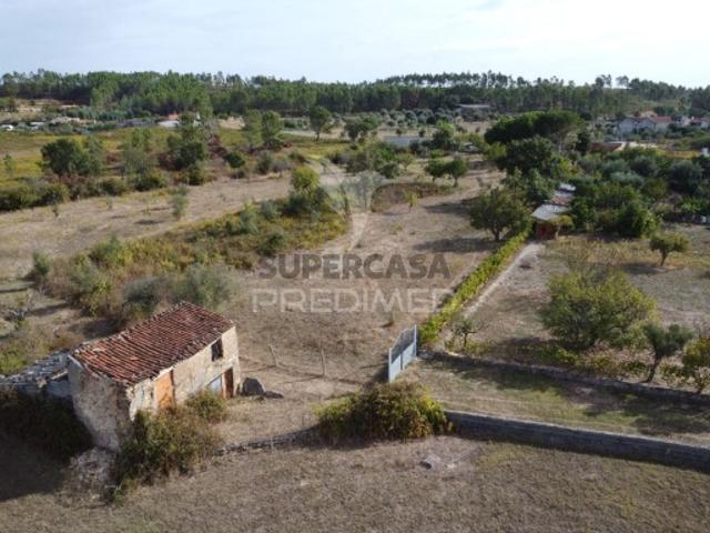 Terreno venda em Chão do Brejo, Mação