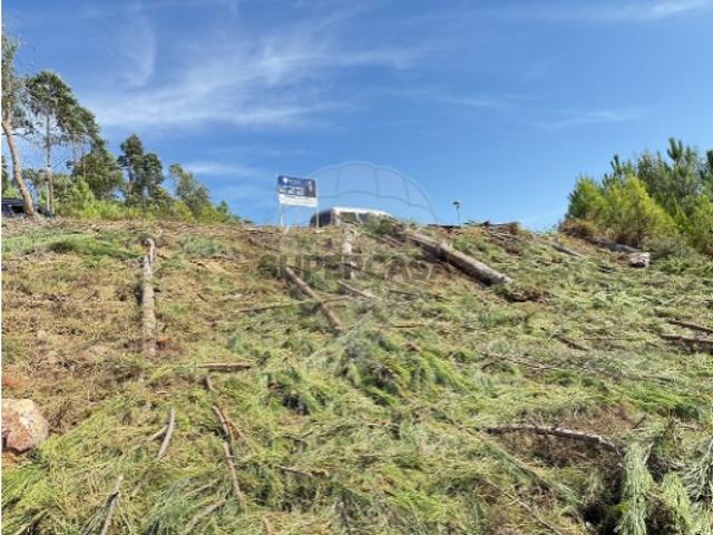 Terreno venda em Brejo Grande, Mação