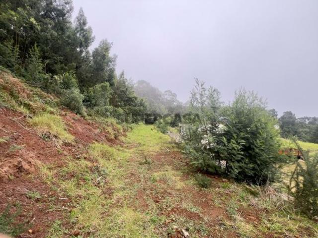 Terreno venda em Machico, Ilha Da Madeira