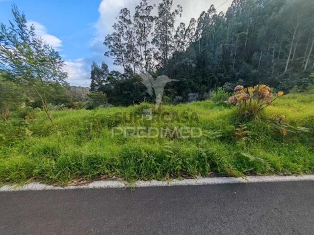 Terreno venda em Machico, Ilha Da Madeira