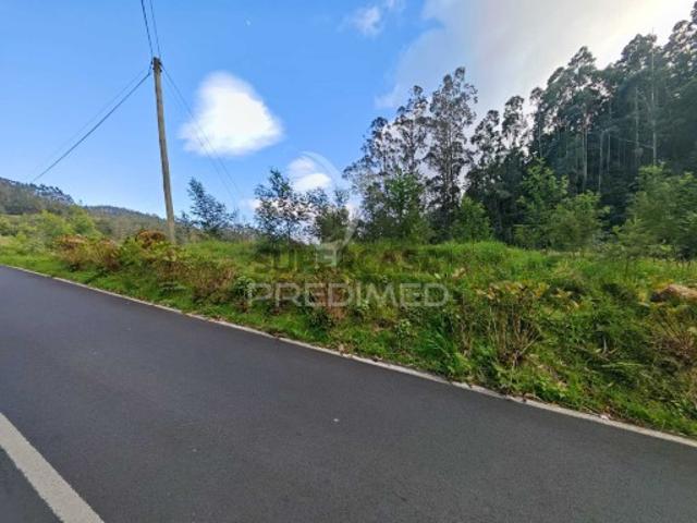 Terreno venda em Machico, Ilha Da Madeira