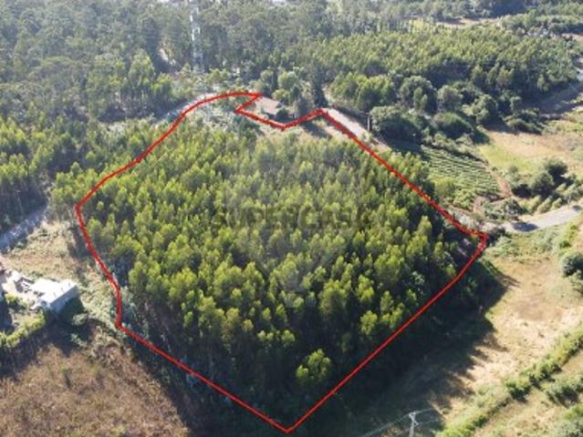 Terreno venda em Cepelos, Vale de Cambra