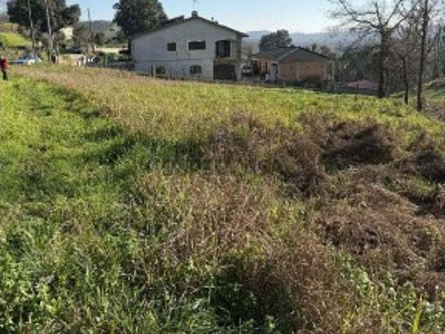 Terreno venda em Albergaria-a-velha, Aveiro