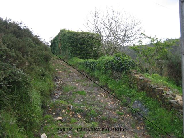 Terreno venda em Águeda, Aveiro