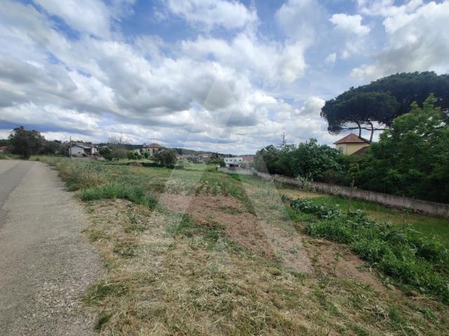 Terreno venda em Águeda, Aveiro