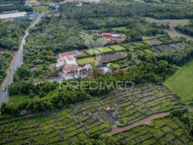 Terreno venda em Açores, Madalena