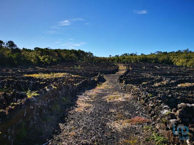 Terreno venda em Açores, Madalena