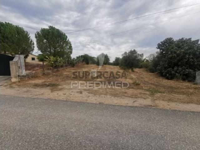 Terreno venda em Madalena e Beselga, Tomar