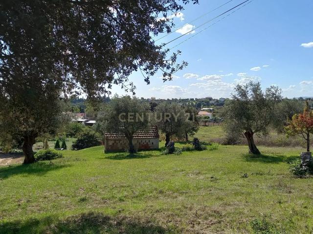 Terreno venda em Madalena e Beselga, Tomar
