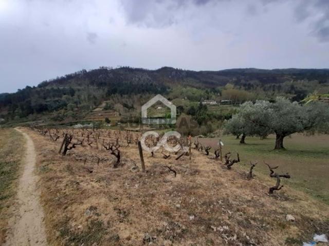 Terreno venda em Ribeira das Avelãs, Chaves