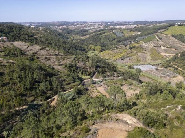 Terreno venda em Mafra, Lisboa