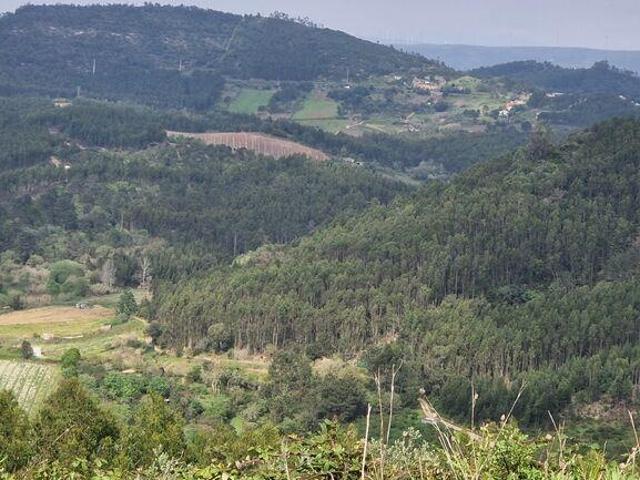 Terreno venda em Mafra, Lisboa
