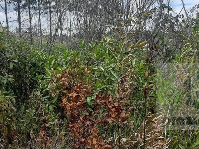 Terreno venda em Região Imediata de Sorocaba, Região Metropolitana de Sorocaba