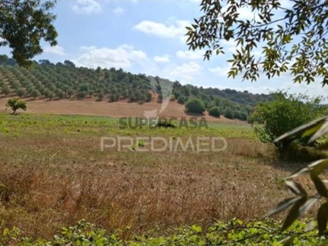 Terreno venda em Alcanena, Santarém