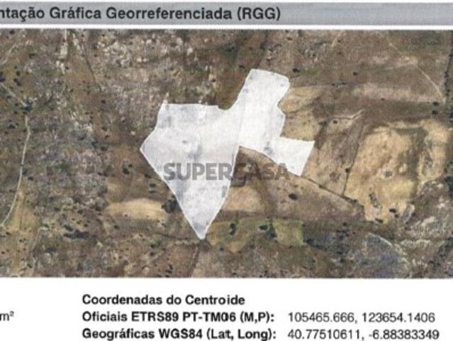 Terreno venda em Malpartida e Vale de Coelha, Almeida