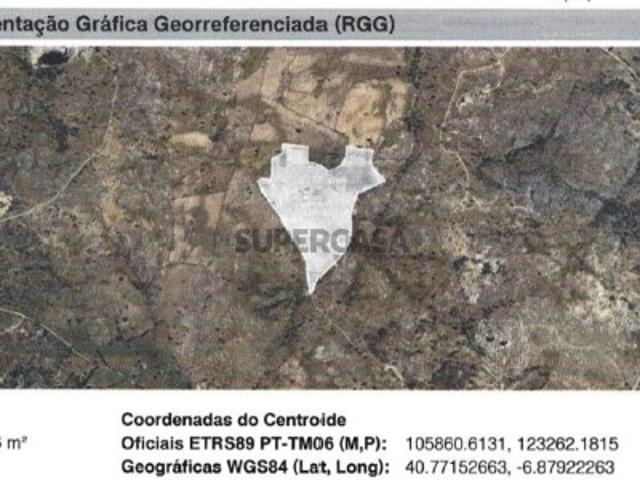 Terreno venda em Malpartida e Vale de Coelha, Almeida