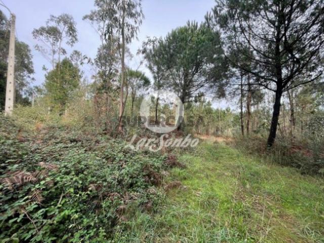 Terreno venda em Vila Do Conde, Porto