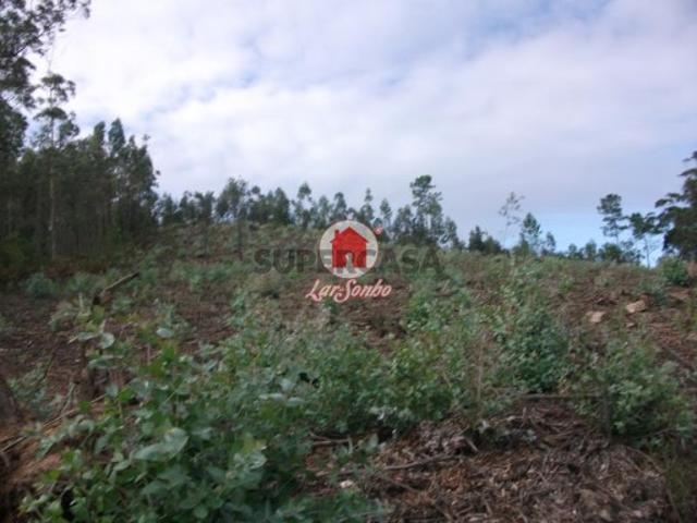 Terreno venda em Vila Do Conde, Porto