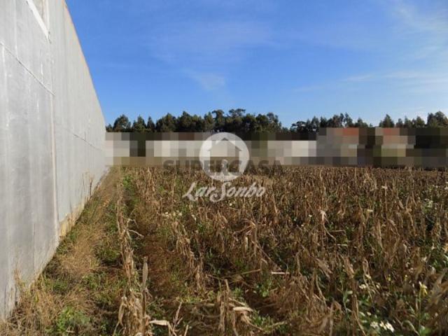 Terreno venda em Vila Do Conde, Porto