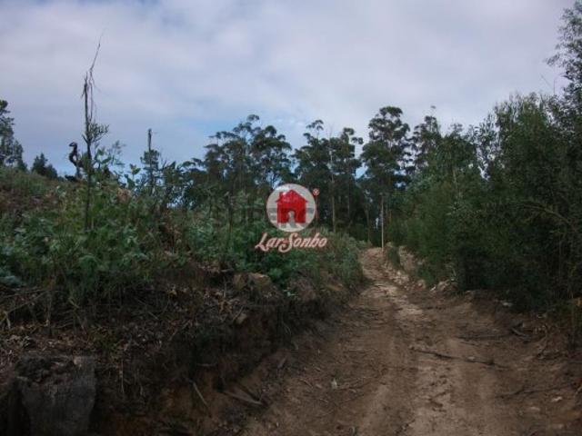 Terreno venda em Vila Do Conde, Porto