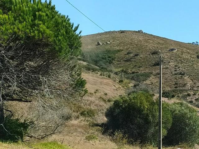 Terreno venda em Cascais, Lisboa