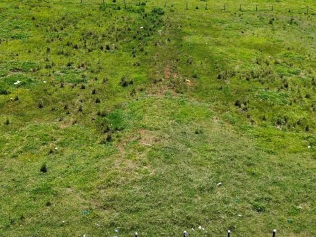 Terreno venda em Região Geográfica Imediata de Maringá, Mandaguaçu