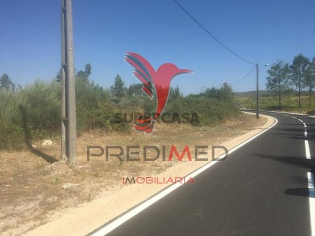 Terreno venda em Mangualde Terreno venda em Mangualde