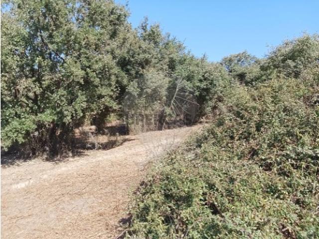 Terreno venda em Azambuja, Lisboa