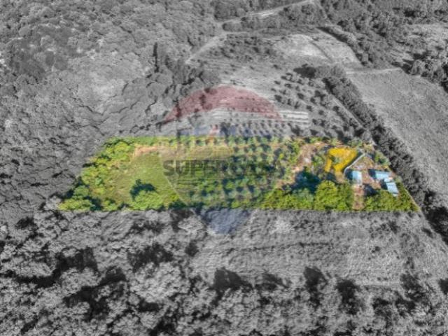 Terreno venda em Azambuja, Lisboa