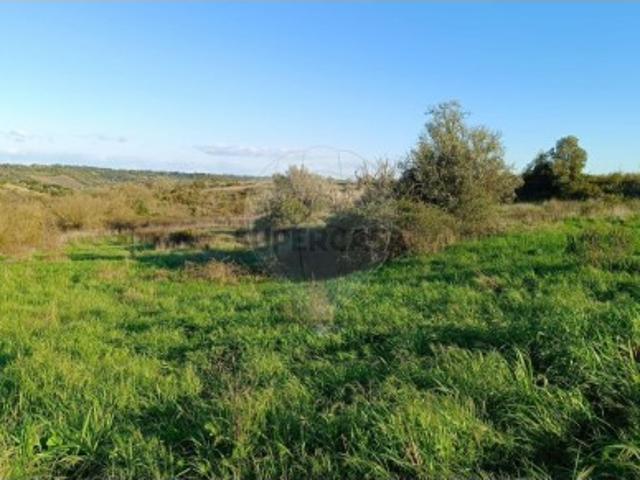 Terreno venda em Azambuja, Lisboa