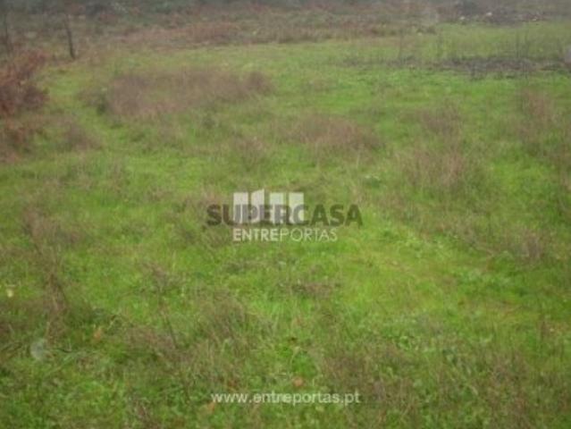Terreno venda em Várzea do Douro, Várzea
