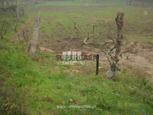 Terreno venda em Várzea do Douro, Várzea