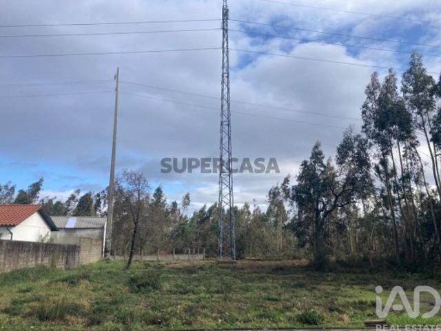 Terreno venda em Marinha Grande, Leiria