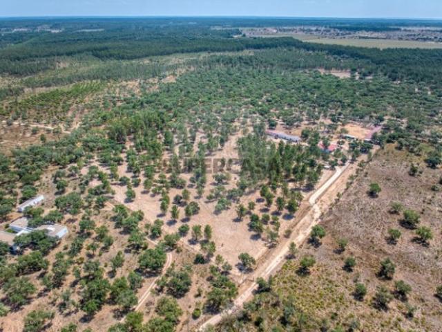 Terreno venda em Salvaterra De Magos, Santarém